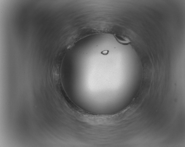 X0000068260040200604281537