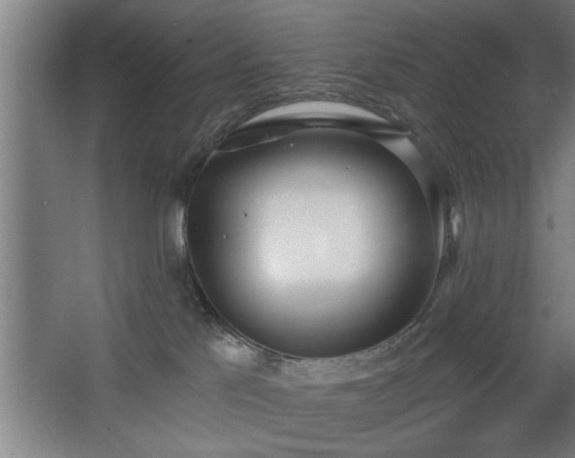 X0000068260041200604281537