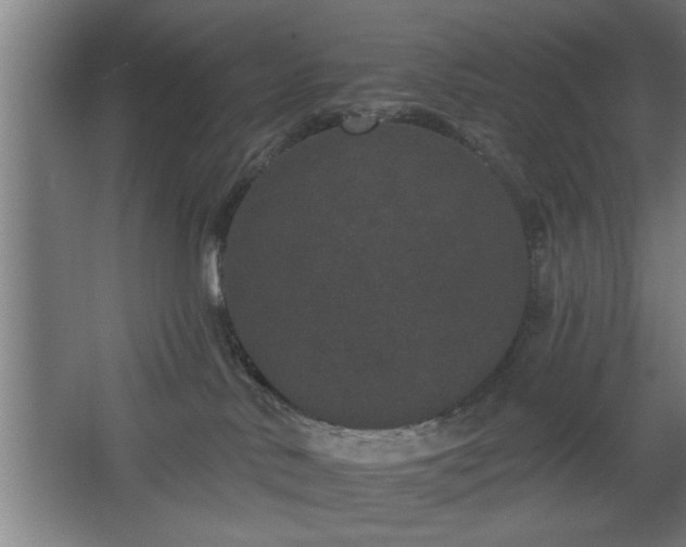 X0000068260042200604281537