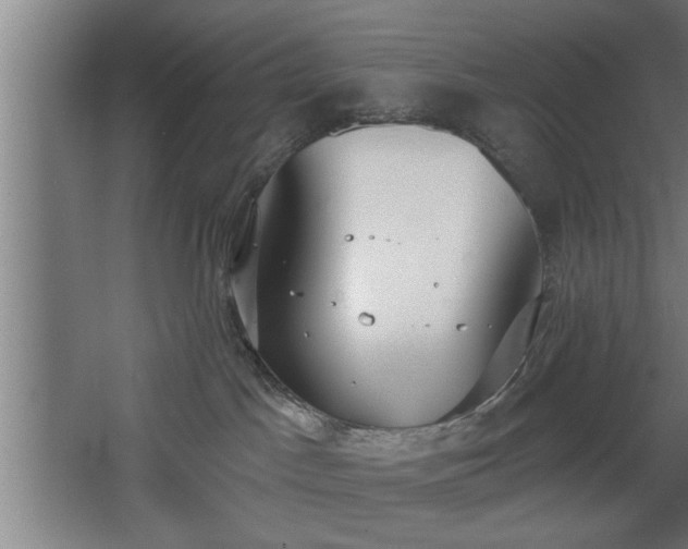 X0000068260045200604281537