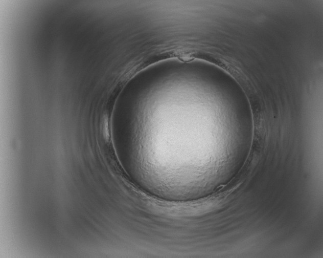 X0000068260046200604281537