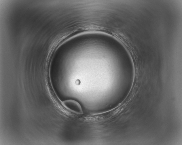 X0000068260049200604281536