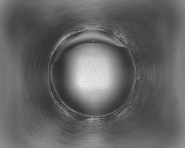 X0000068260052200604281536