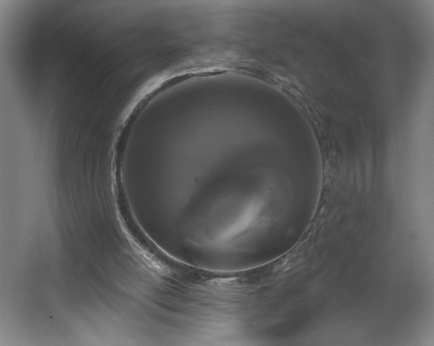 X0000068260054200604281536