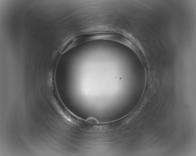 X0000068260057200604281536