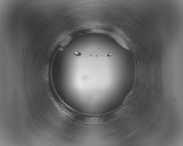 X0000068260058200604281536