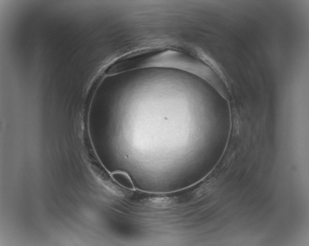 X0000068260059200604281536