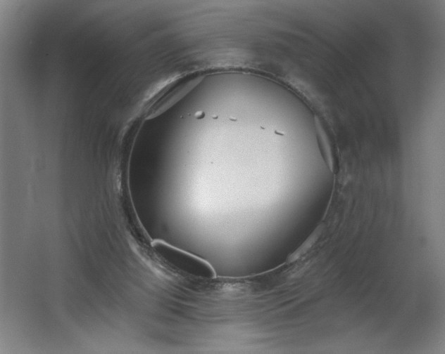 X0000068260060200604281536