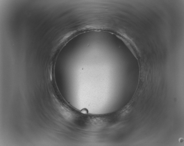 X0000068260062200604281536