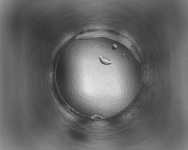 X0000068260063200604281536