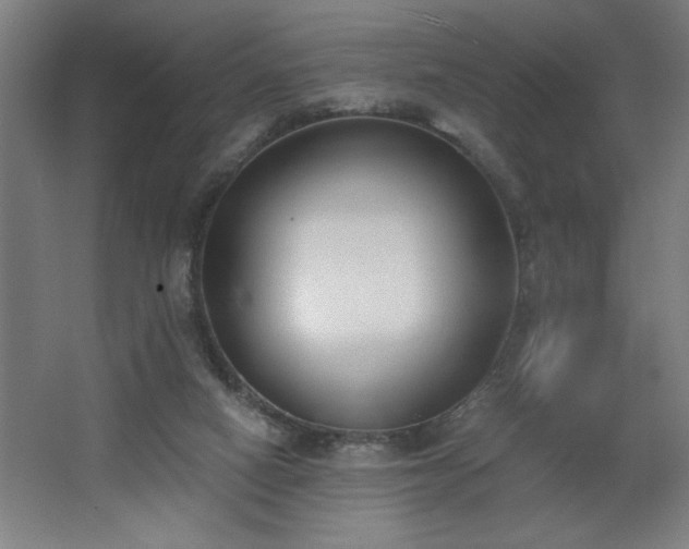 X0000068260066200604281536