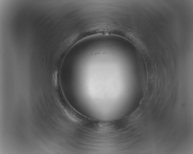 X0000068260070200604281536