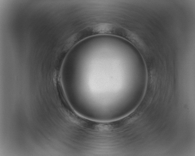 X0000068260073200604281536