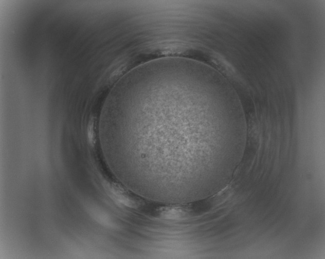 X0000068260074200604281536