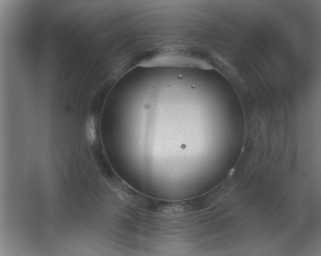 X0000068260075200604281536