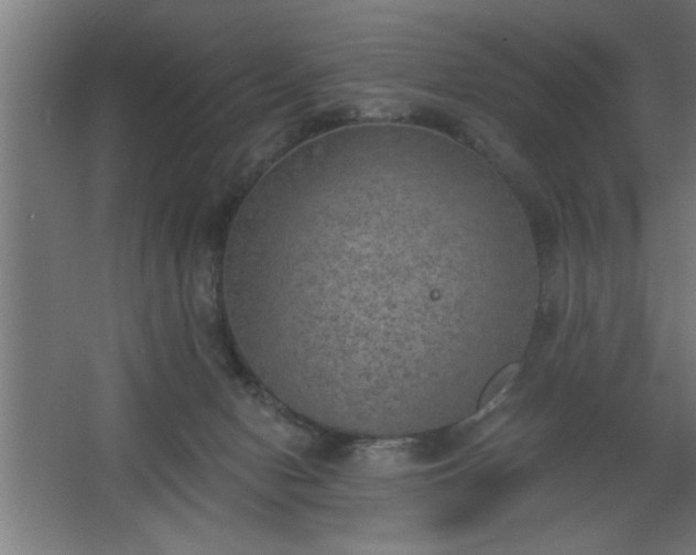 X0000068260078200604281536