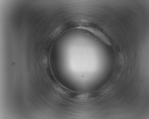 X0000068260084200604281537