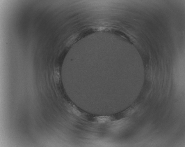 X0000068260085200604281537