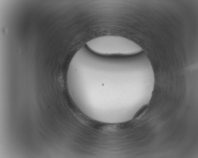 X0000068260086200604281537