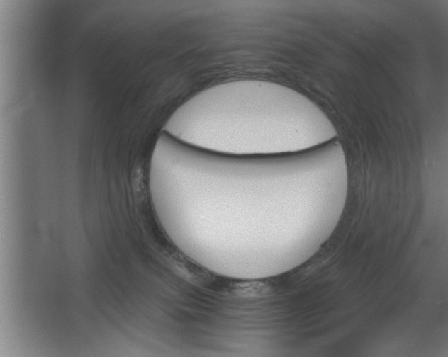 X0000068260087200604281537