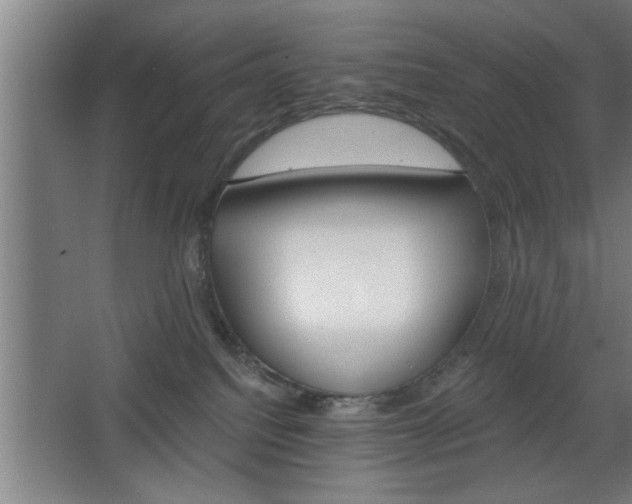 X0000068260088200604281537