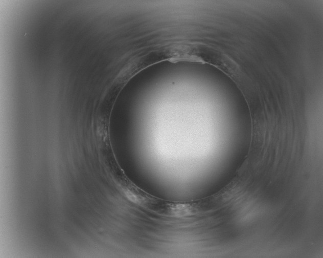 X0000068260091200604281537