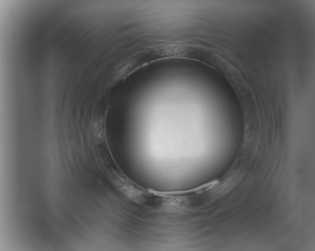 X0000068260096200604281537