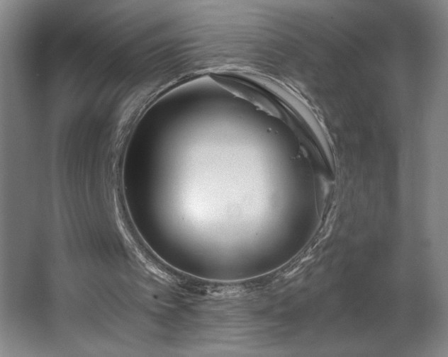 X0000068260097200604281536