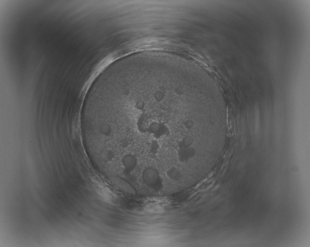 X0000068260099200604281536