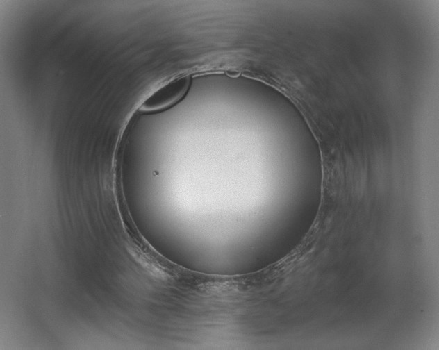 X0000068260100200604281536