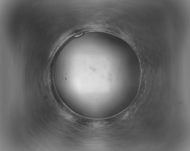 X0000068260103200604281536