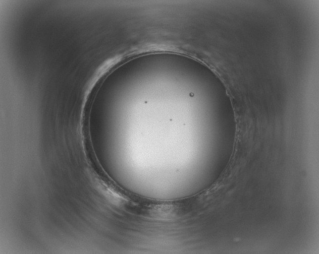 X0000068260104200604281536