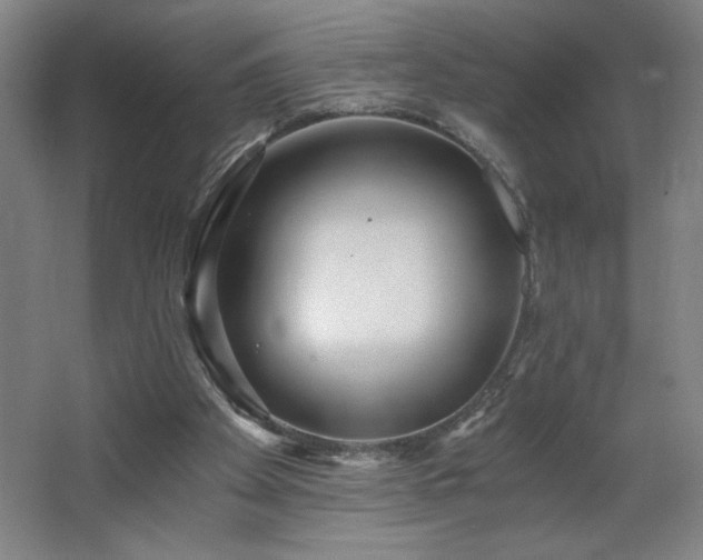 X0000068260105200604281536