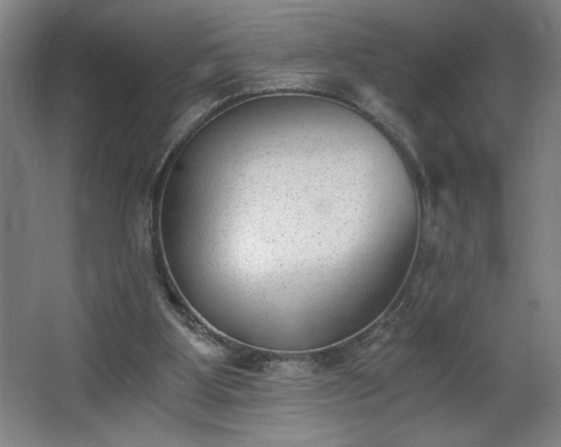 X0000068260107200604281536