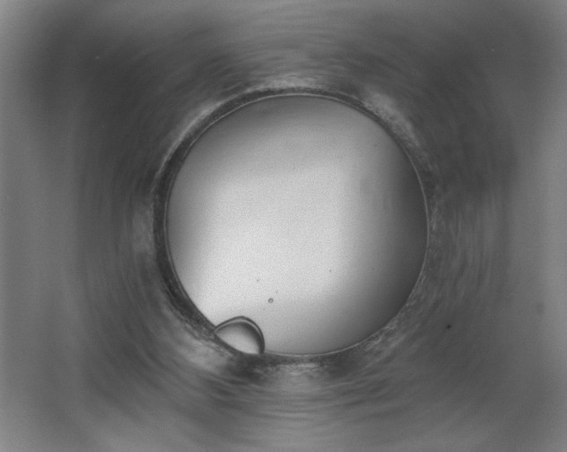 X0000068260108200604281536