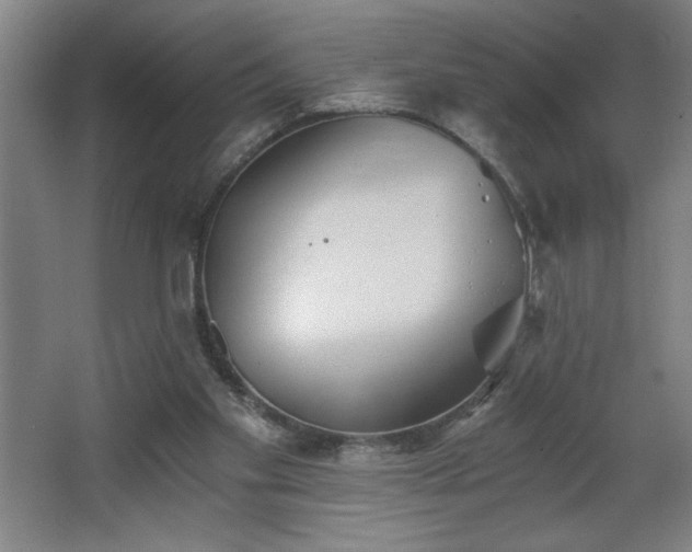 X0000068260109200604281536