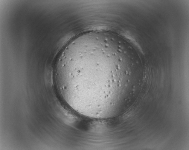 X0000068260110200604281536