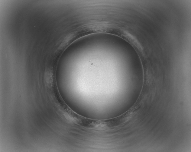 X0000068260113200604281536