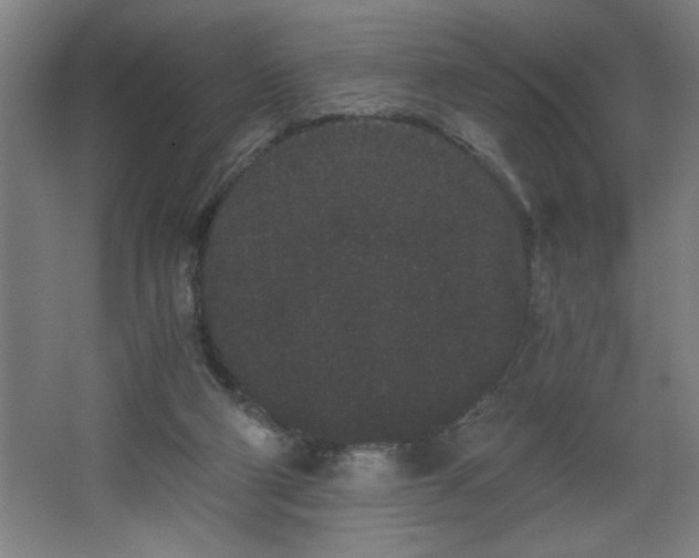 X0000068260114200604281536