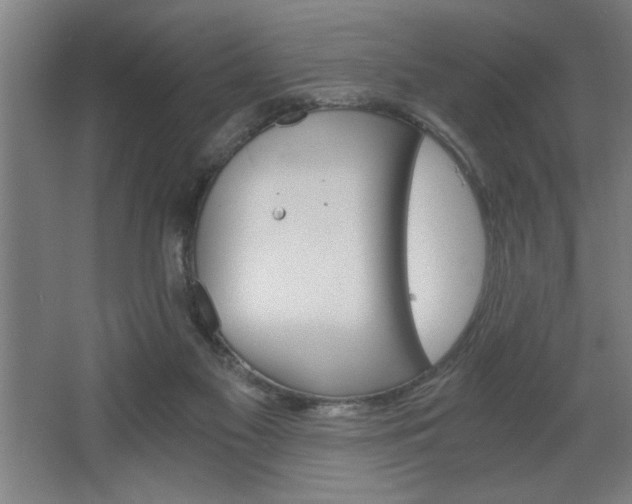 X0000068260117200604281536