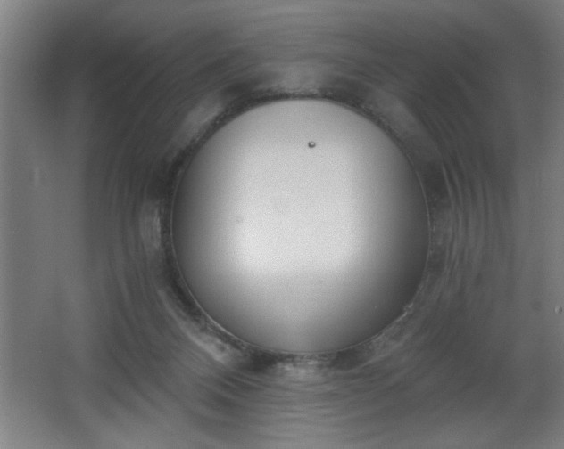 X0000068260120200604281536