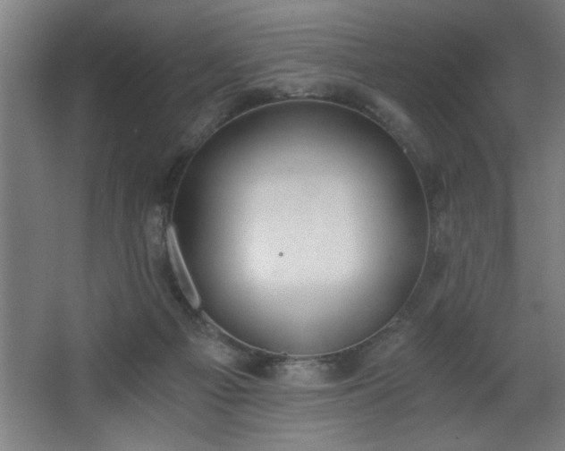 X0000068260121200604281536