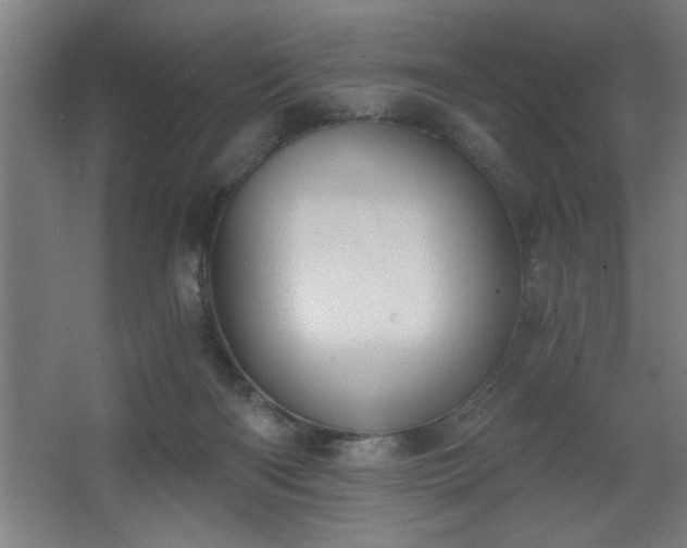 X0000068260122200604281536