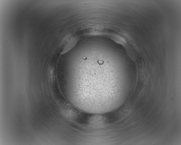 X0000068260123200604281536