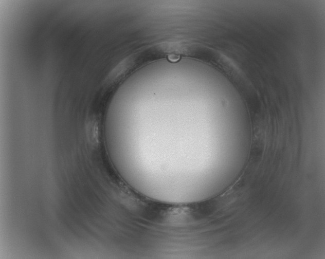 X0000068260124200604281535