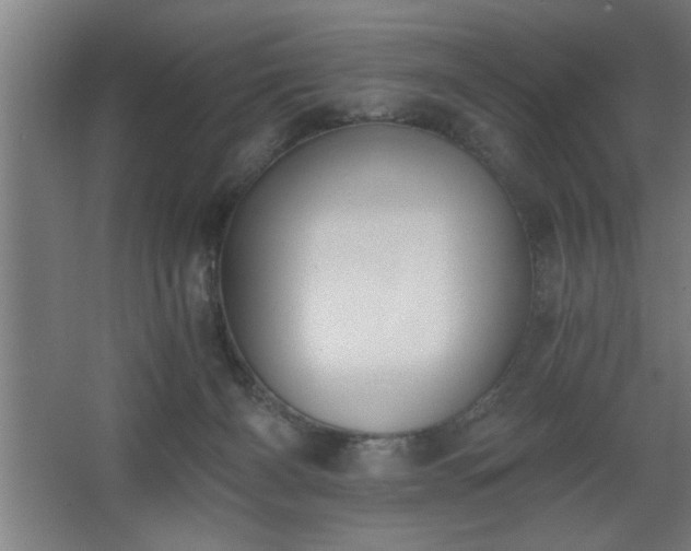 X0000068260126200604281535