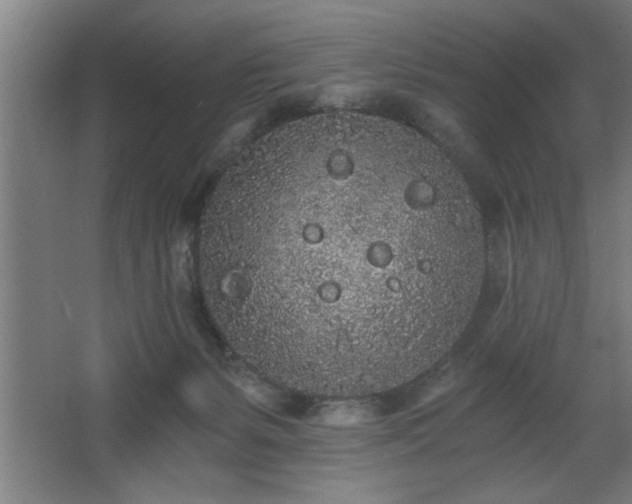 X0000068260127200604281535