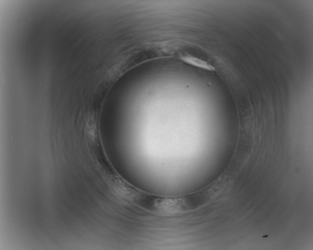 X0000068260129200604281535