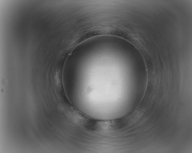 X0000068260131200604281535