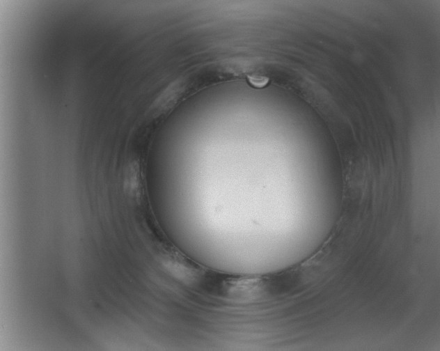 X0000068260132200604281535